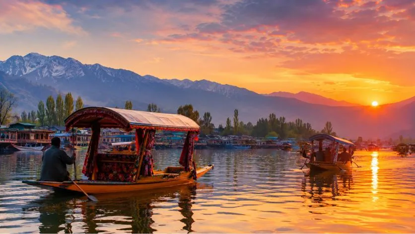 Shikara boats on Dal Lake at sunset, with the snow-capped Zabarwan range behind Srinagar
